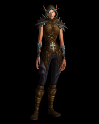 Legion Leather Quest Armor