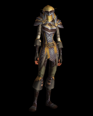 Delver's Mail Armor - Professions