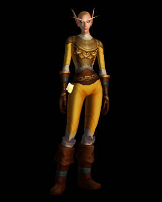 Forged Aspirant's Chain Armor