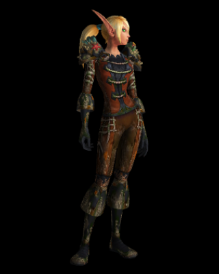 Notorious Aspirant Horde Leather
