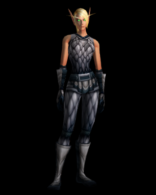 Scalemail Garb
