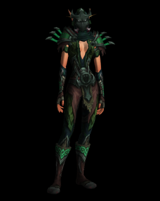Sylvan Stalker's Leathers